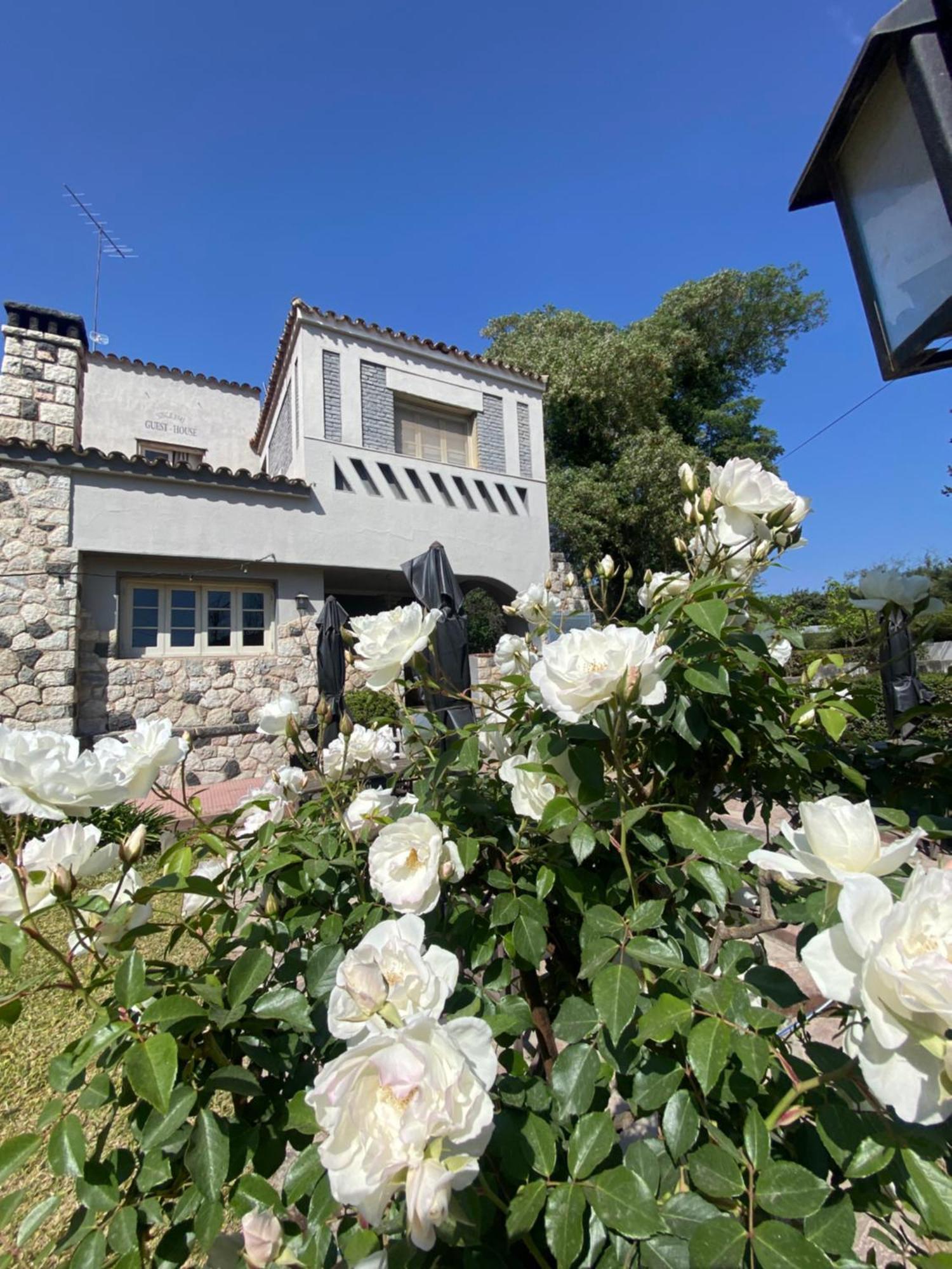 Posada Del Angel 빌라 세라니타 외부 사진